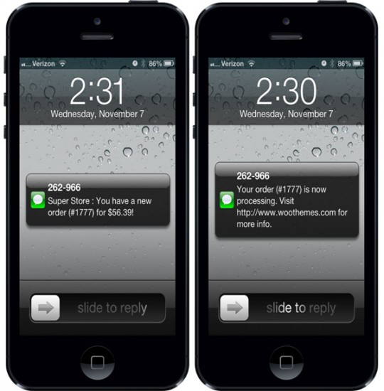 WooCommerce Twilio SMS Notifications Example